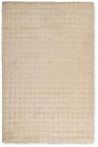 Alesis Beige 5x7 Area Rug