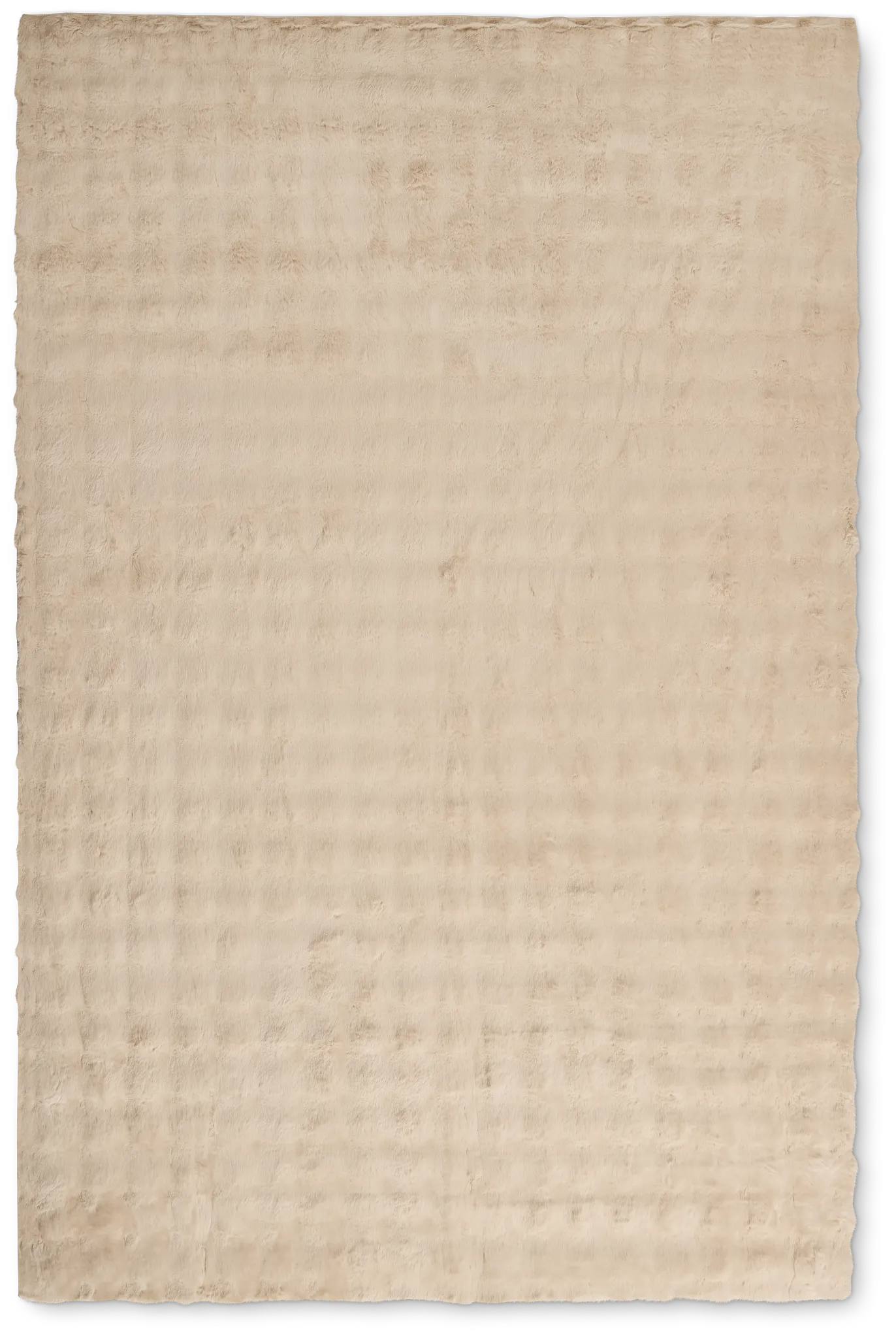 Alesis Beige 5x7 Area Rug