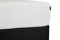 Rest & Renew By Zinus Gel Memory Foam Mattress 12" Medium Mattress Set