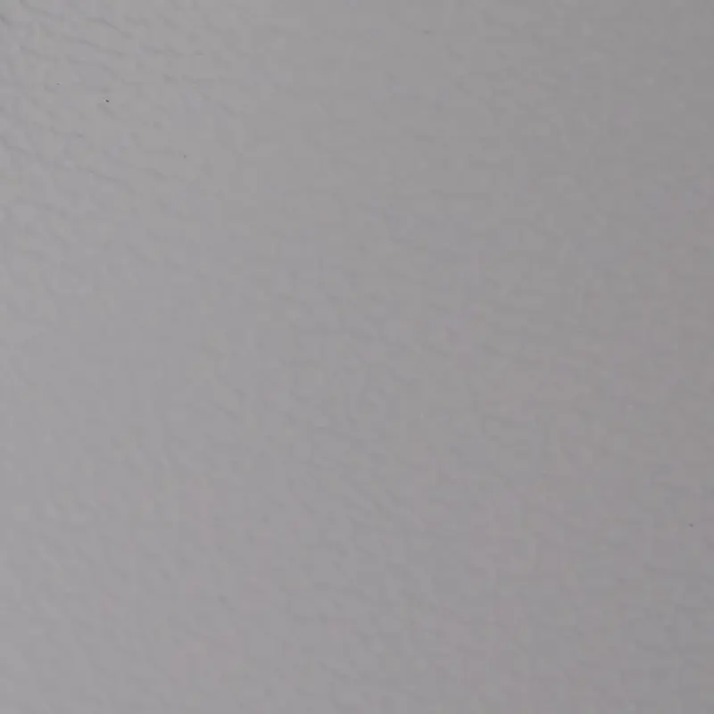 Light Gray Light Gray
