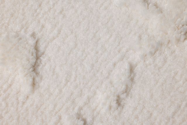 Sarna White 8x10 Area Rug
