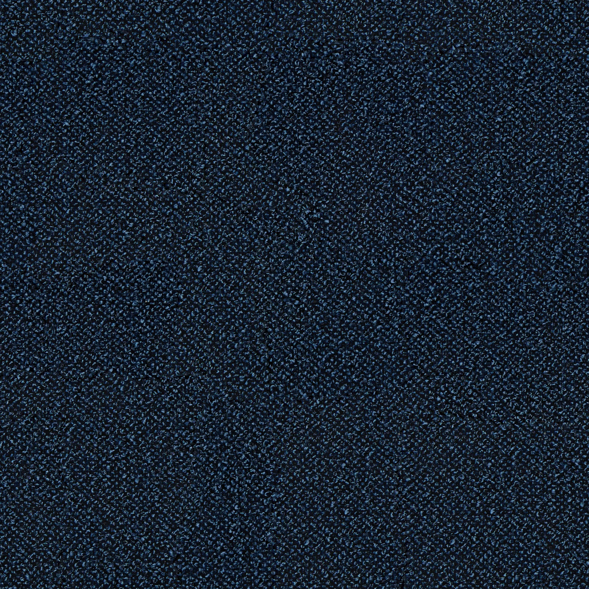 Captiva Elite Navy 60" Upholstered Shelter Bed