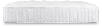Aireloom Timeless Odyssey Luxetop M2 Plush 16.5" Mattress