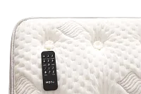 Aireloom Timeless Odyssey Luxetop M2 15.5" Plush Mattress