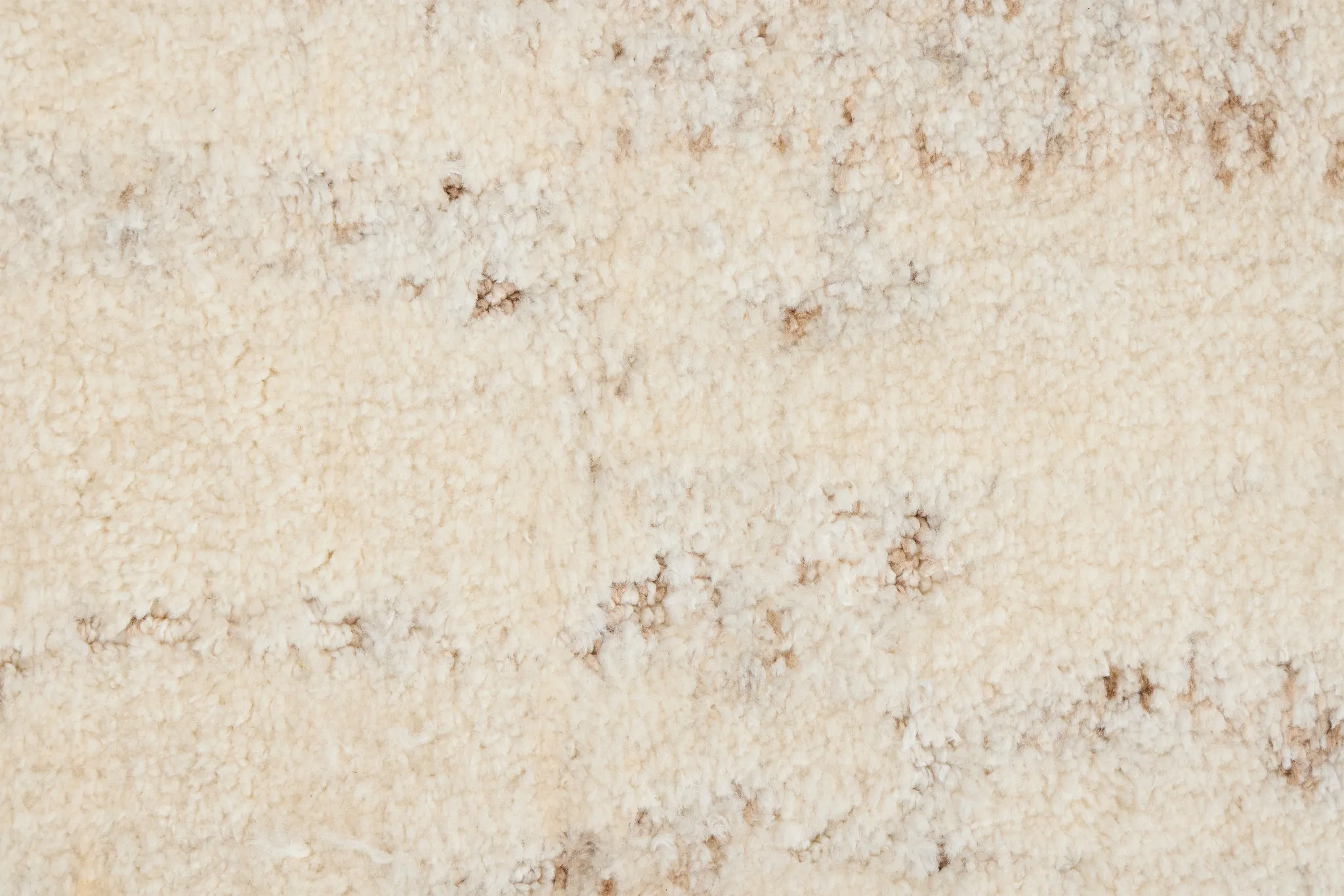 Carrin Ivory 8x10 Area Rug