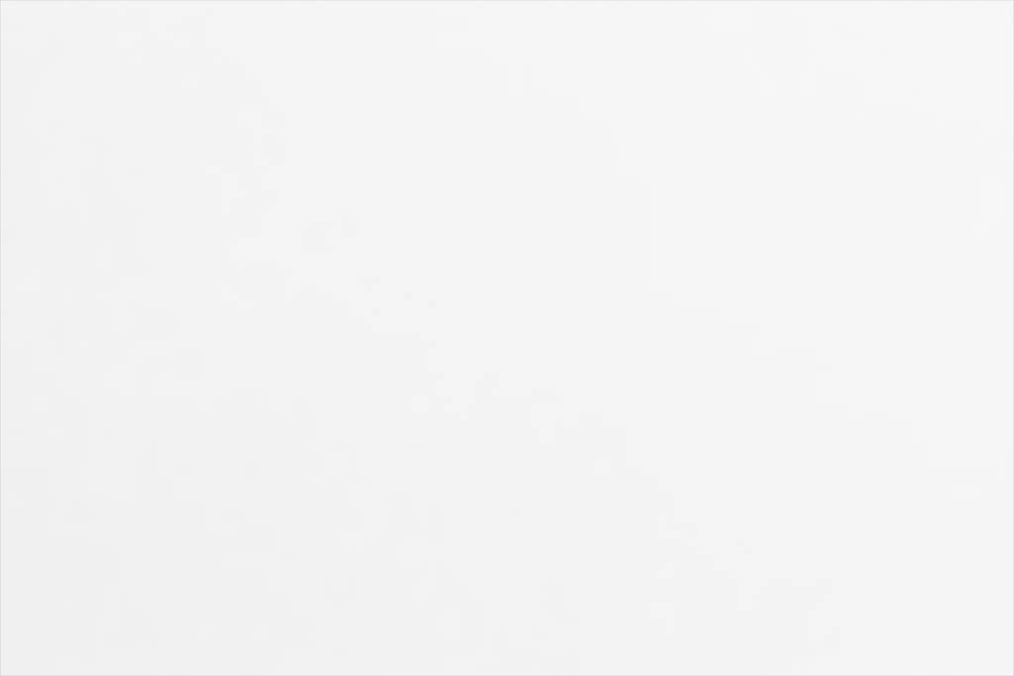 Charleston White Panel Trundle Bed Charleston White Panel Trundle Bed