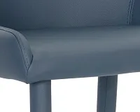 Cyrus Dark Blue Upholstered Side Chair