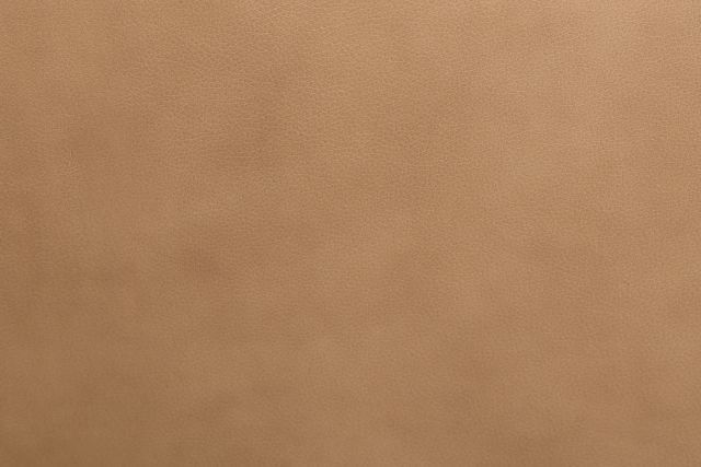 Kellan Light Brown Leather Large Two-arm Sectional