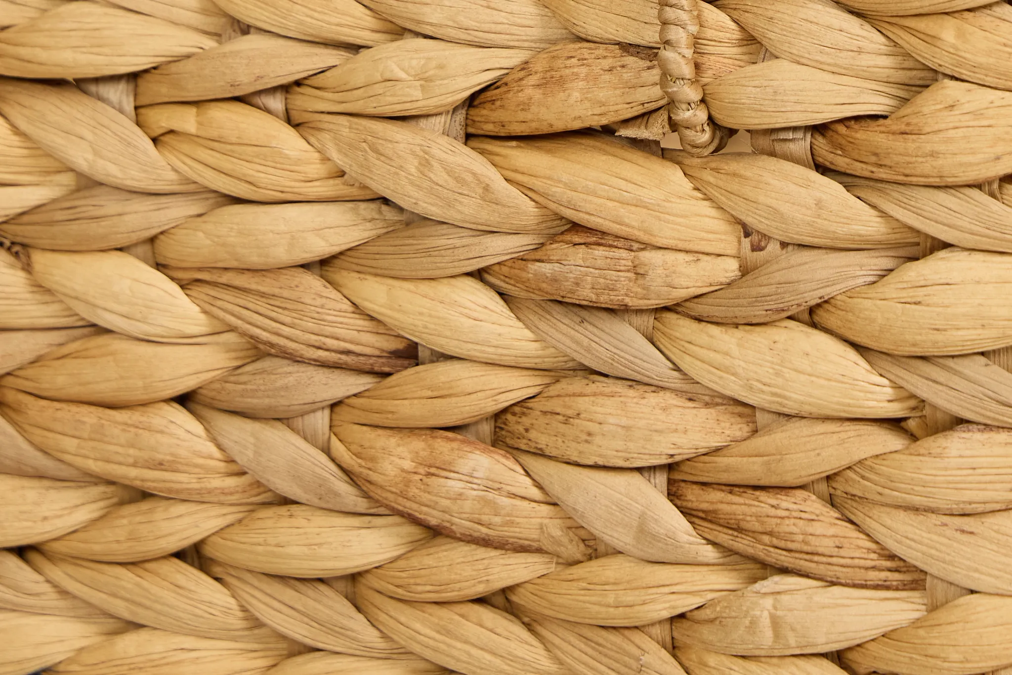 Bonnie Set Of 3 Brown Basket