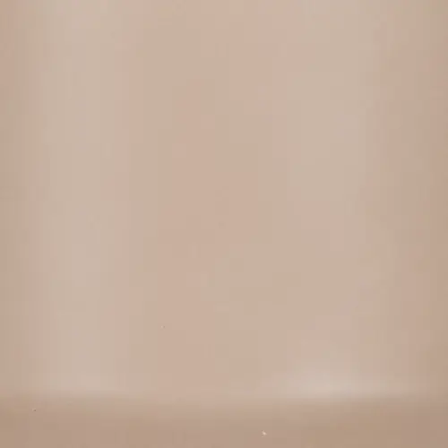 Light Beige Light Beige