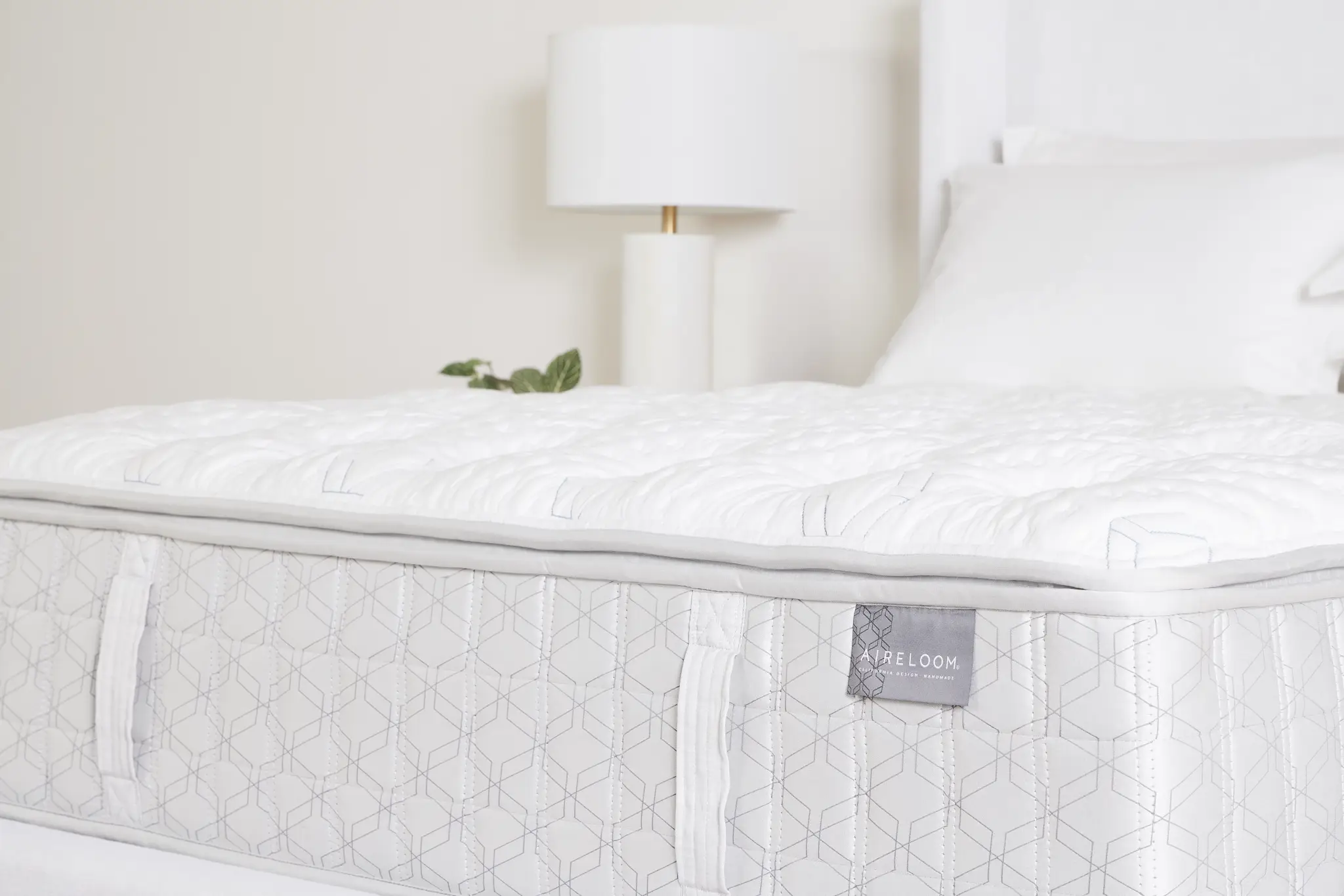Aireloom Timeless Odyssey Luxetop M2 Plush 16.5" Mattress Aireloom Timeless Odyssey Luxetop M2 Plush 16.5" Mattress