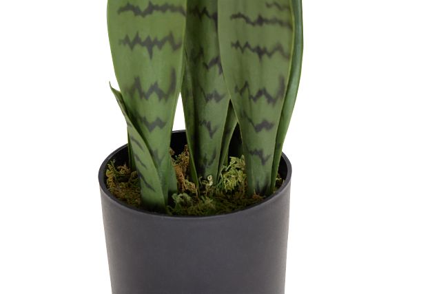 Abram Green 15" Greenery