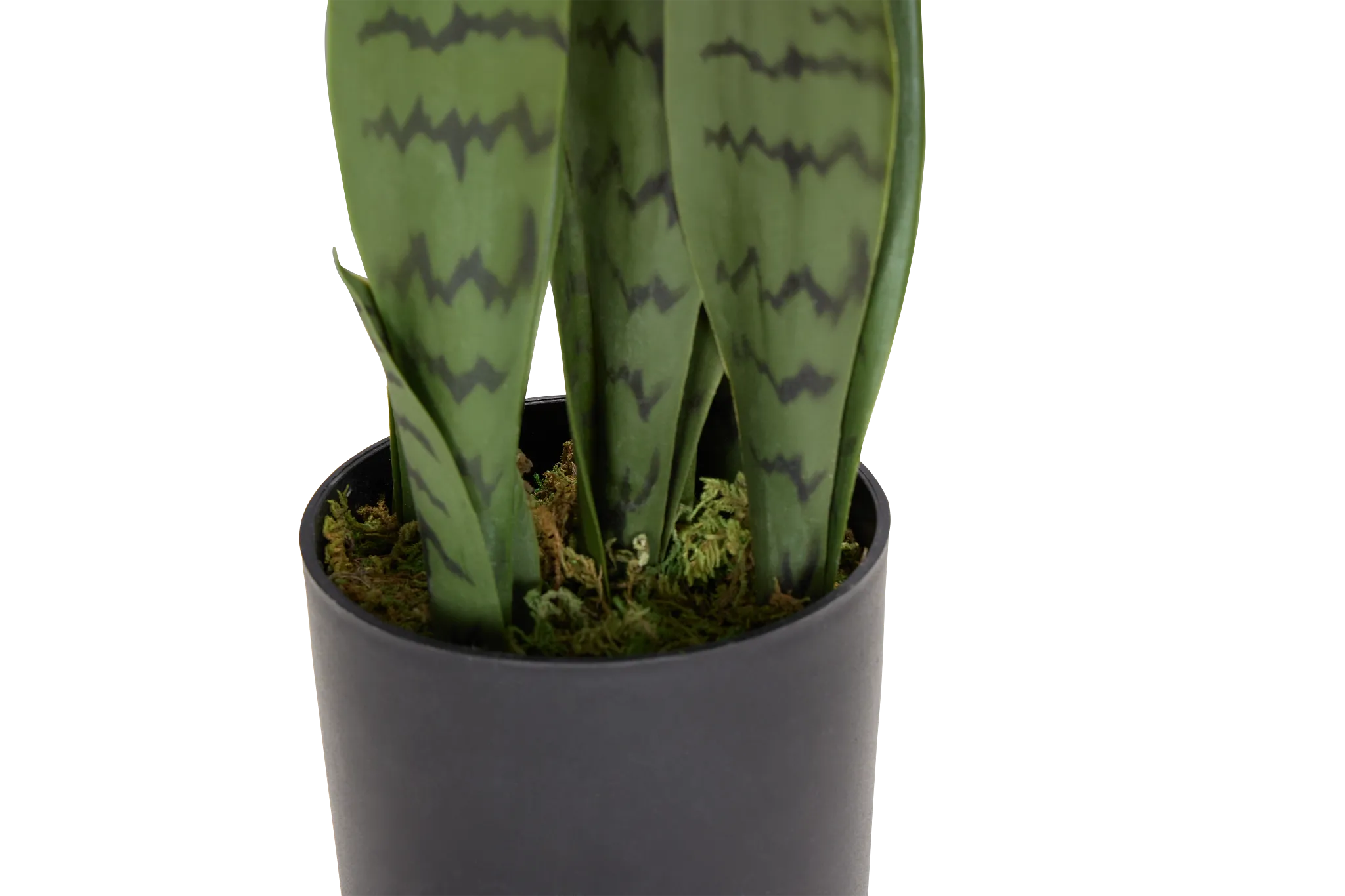 Abram Green 15" Greenery