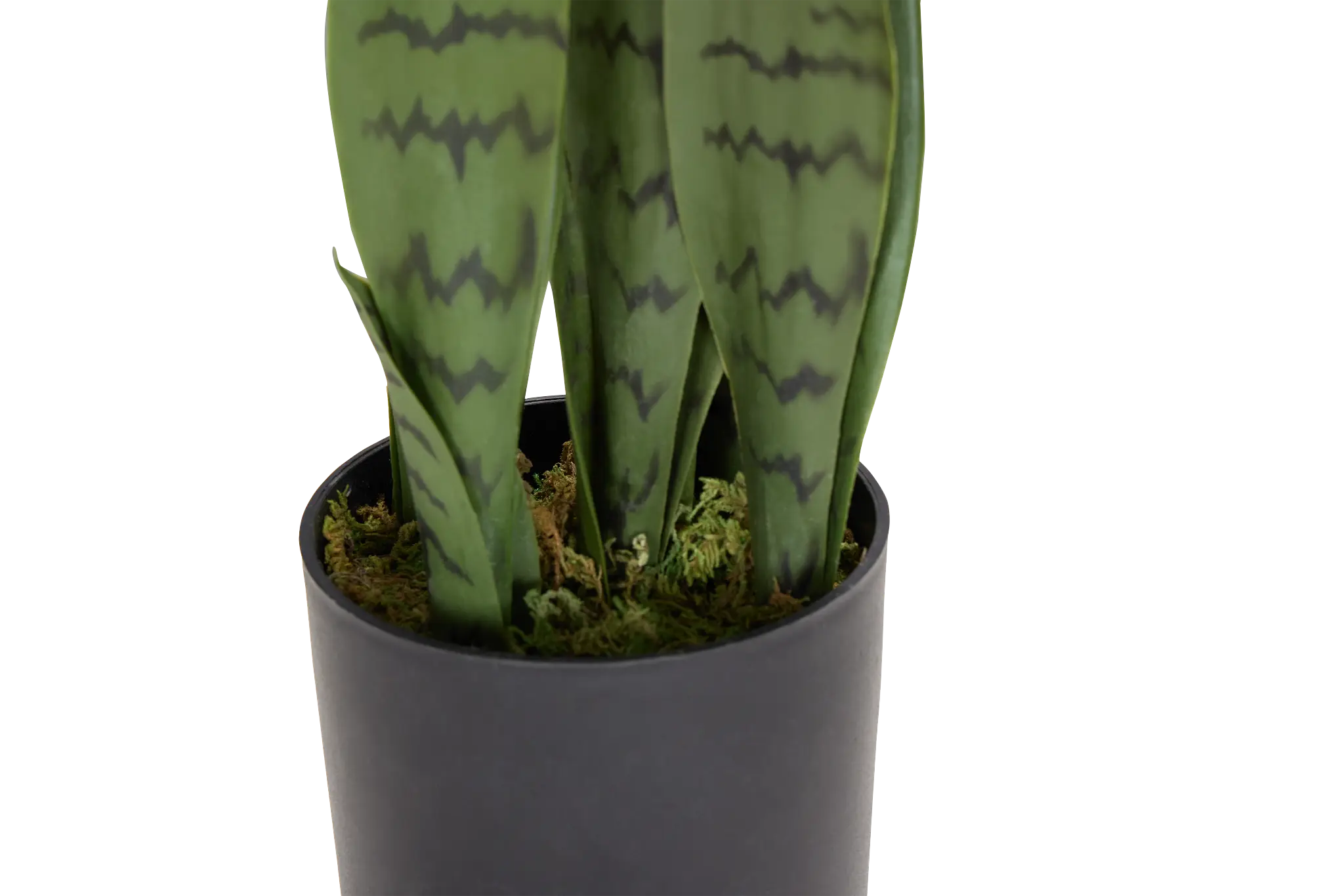 Abram Green 15" Greenery Abram Green 15" Greenery