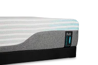 Rest & Renew Performance Firm Low-profile Mattress Set