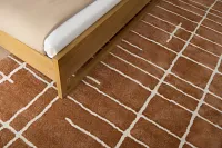 Elio Orange 8x11 Area Rug