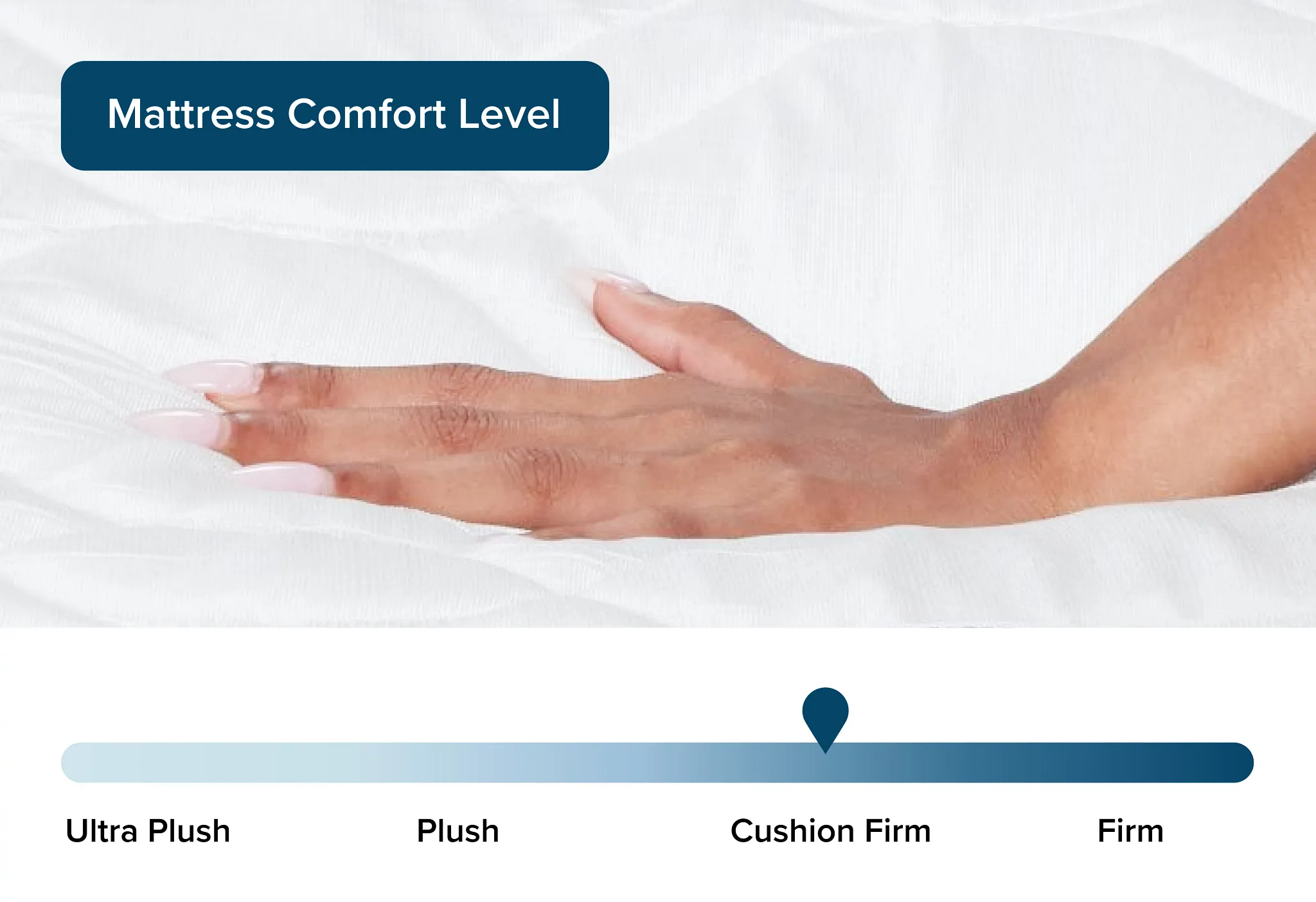 Rest & Renew By Zinus Innerspring 8" Mattress