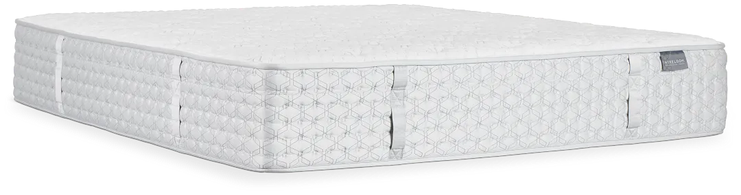 Aireloom Timeless Odyssey Streamline Firm 14" Mattress