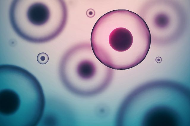 Webinar - Analytical Ultracentrifugation for Characterization of AAV