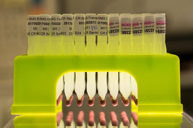 HemaTIP™ microsampler