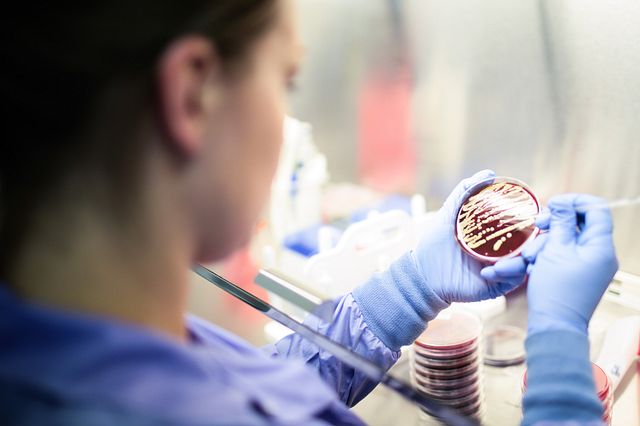 Accugenix technician working with a microbial sample