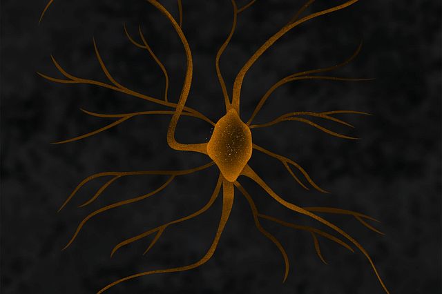 Neuroscience Illustration of hd gabaergic.
