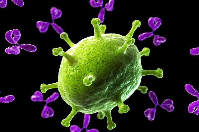 3d rendered illustration of antobodies attacking a virus