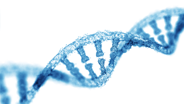 Next Generation Sequencing or NGS, involves sequencing millions of small fragments of DNA together simultaneously