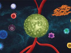DS-cell-based-assays-for-the-tumor-microenvironment-illustration.jpg