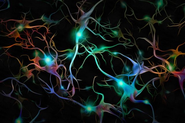 Colorful illustration of microglia cells which are the primary immune cell of the brain, depicted to showcase the concept of neuroinflammation.