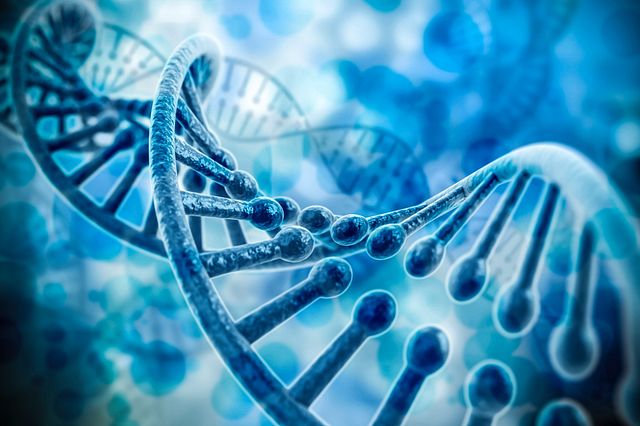 DNA