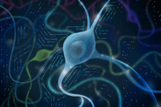 illustration of MEA chip with neurons.