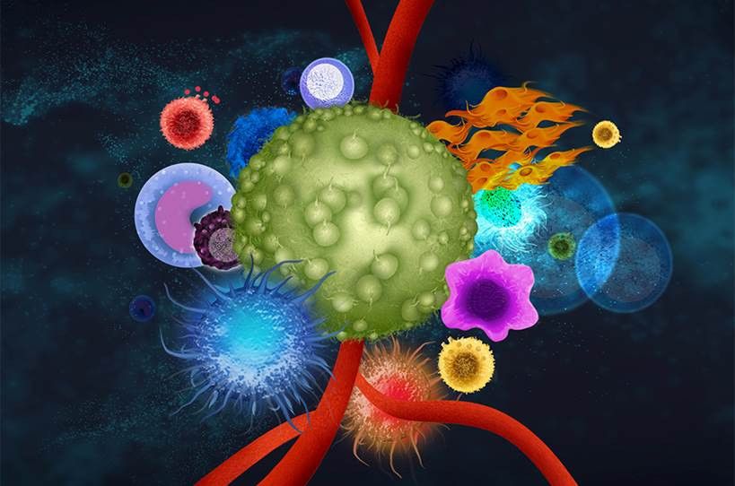 composition of tumor microenvironment
