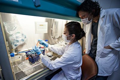 Two scientists working under a hood.