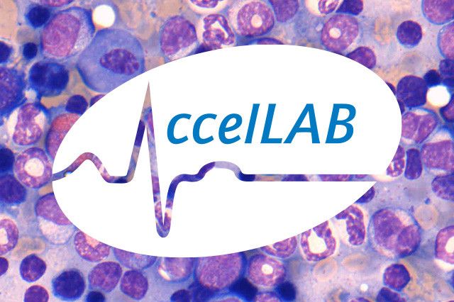 AccelLAB logo over image of cells.