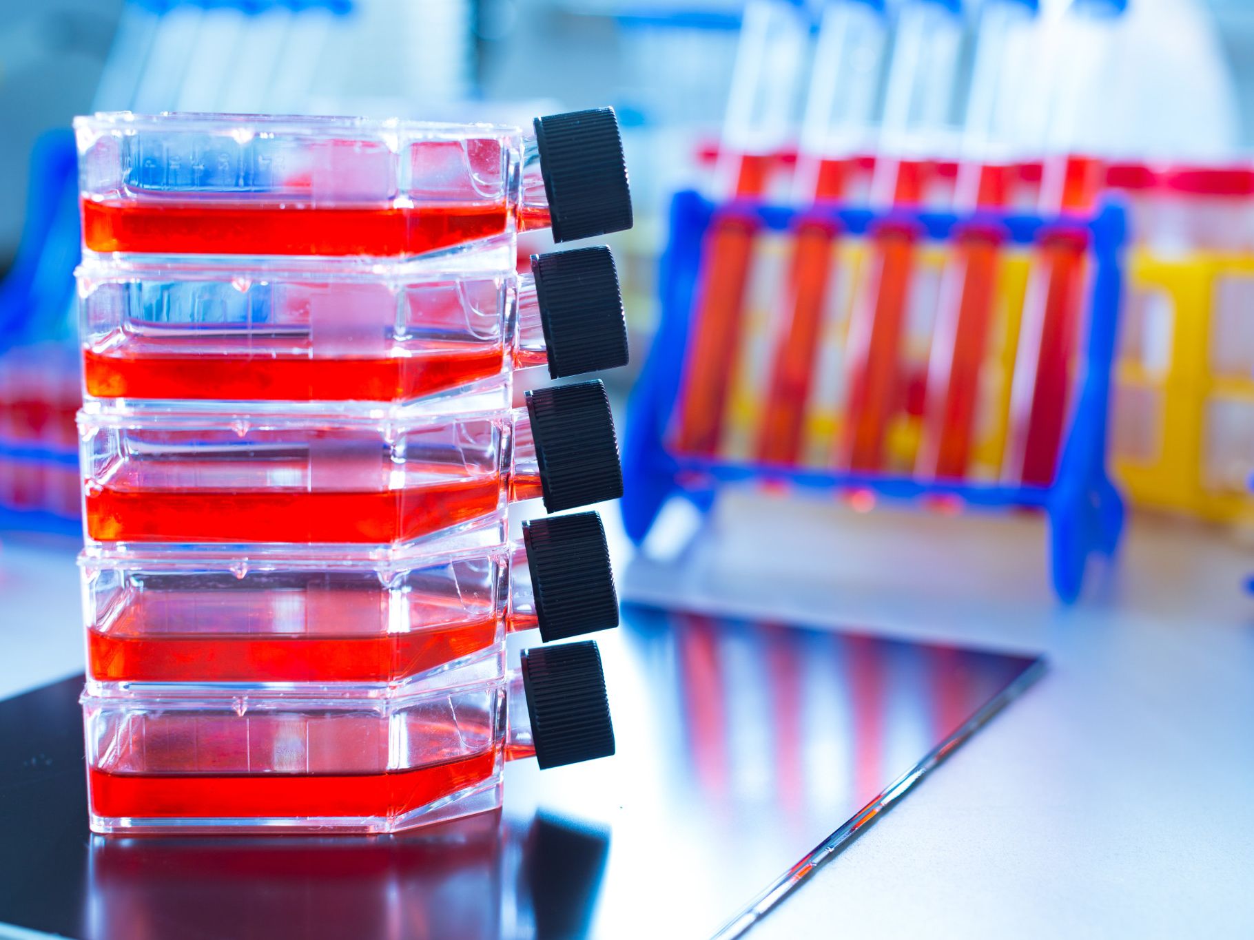 Photo of stacked culture flasks conducting vaccine research tests.