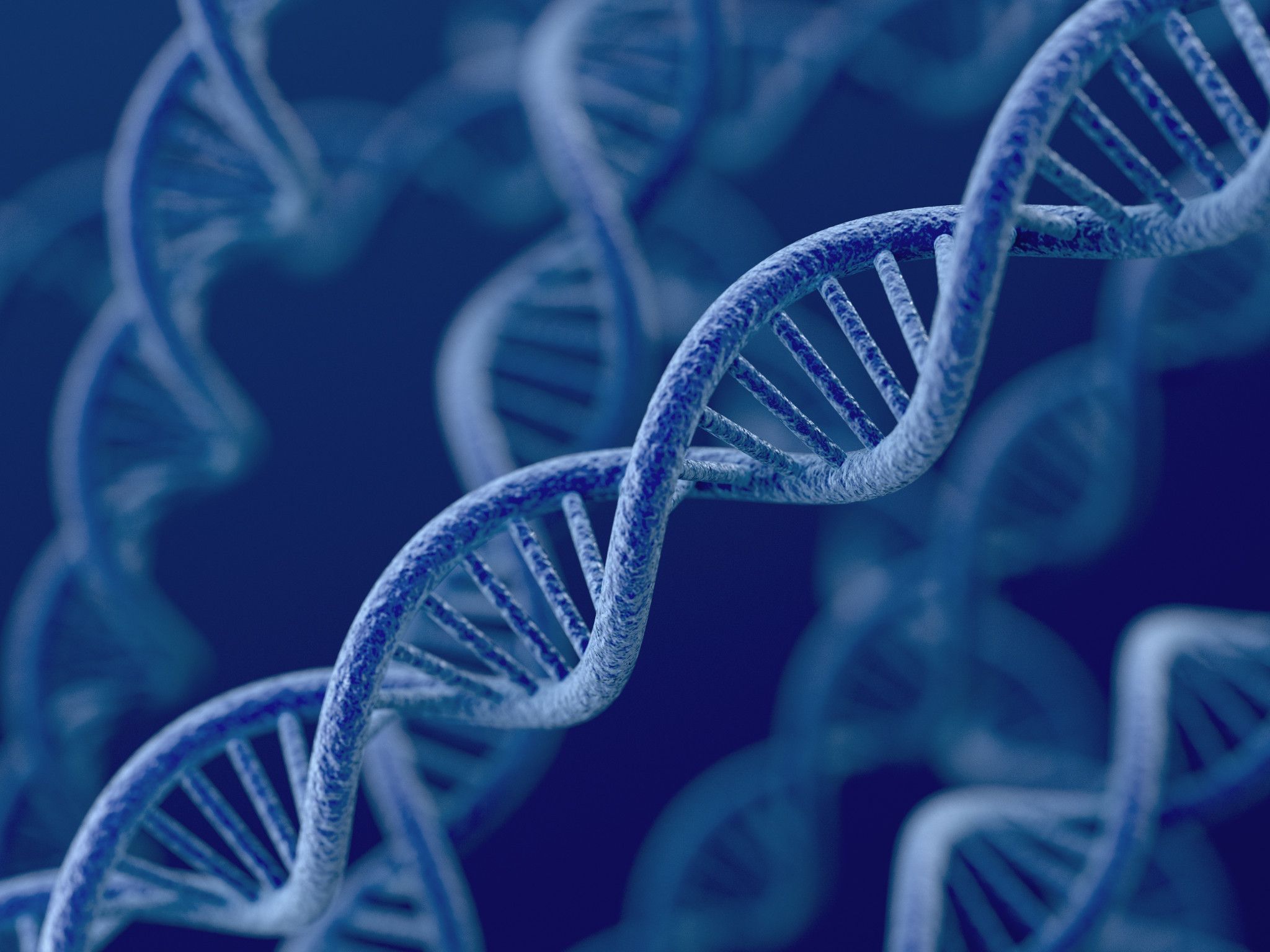 Image of DNA strands.