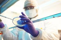Scientist preparing a petri dish for an Ames assay.
