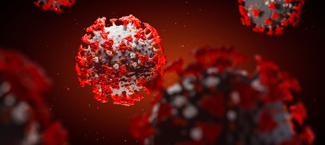 Real-time SARS-CoV PCR assay for animal diagnostic screening