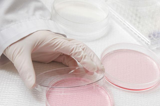 Biocompatibility Testing Lab Biocompatibility Testing for Medical Devices | Charles River