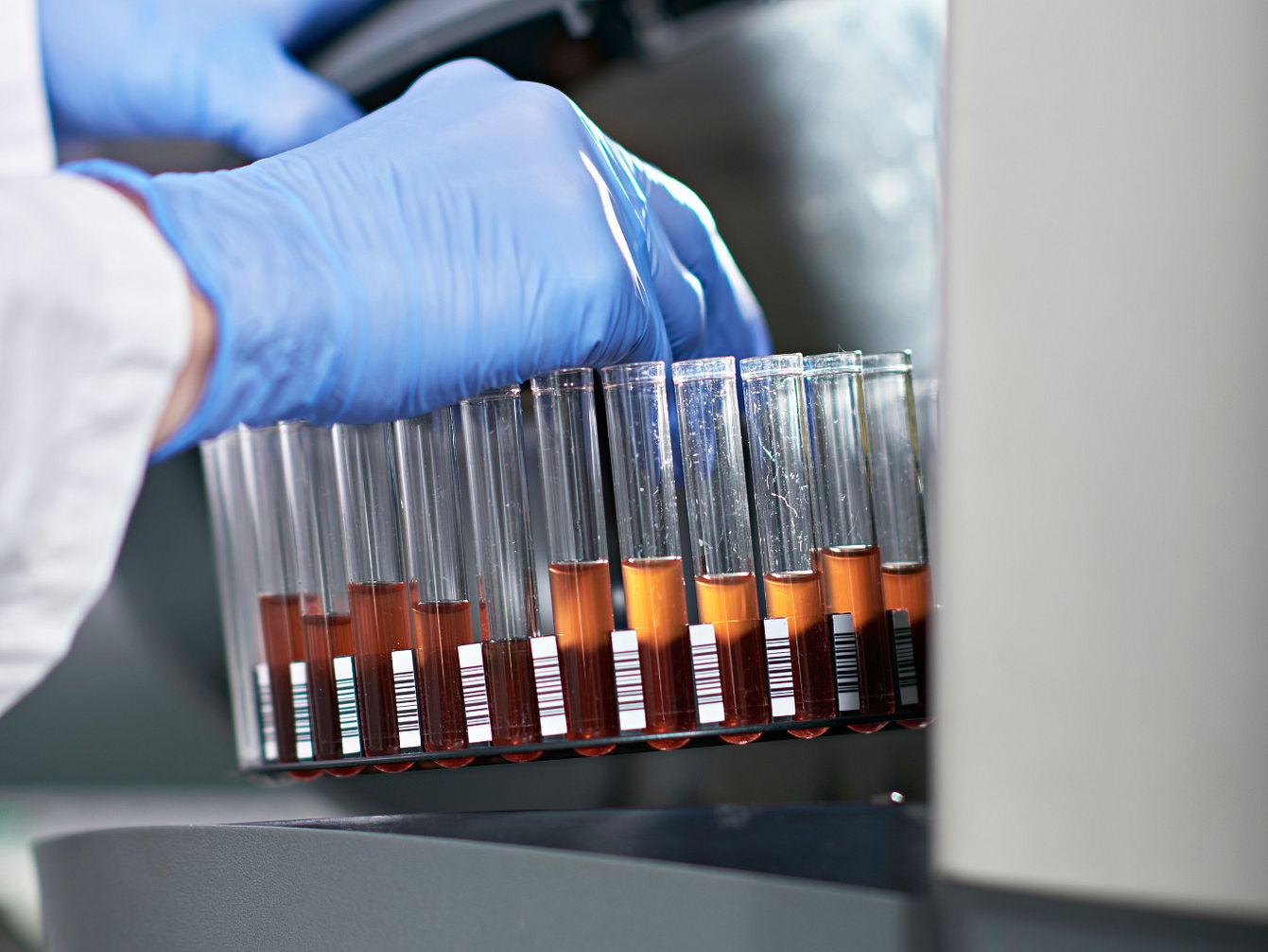 Photo of a scientist wearing blue gloves removing a tray of test tubes while testing novel antigen delivery vectors.