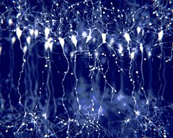 A thumbnail image of neurons with a blue backdrop