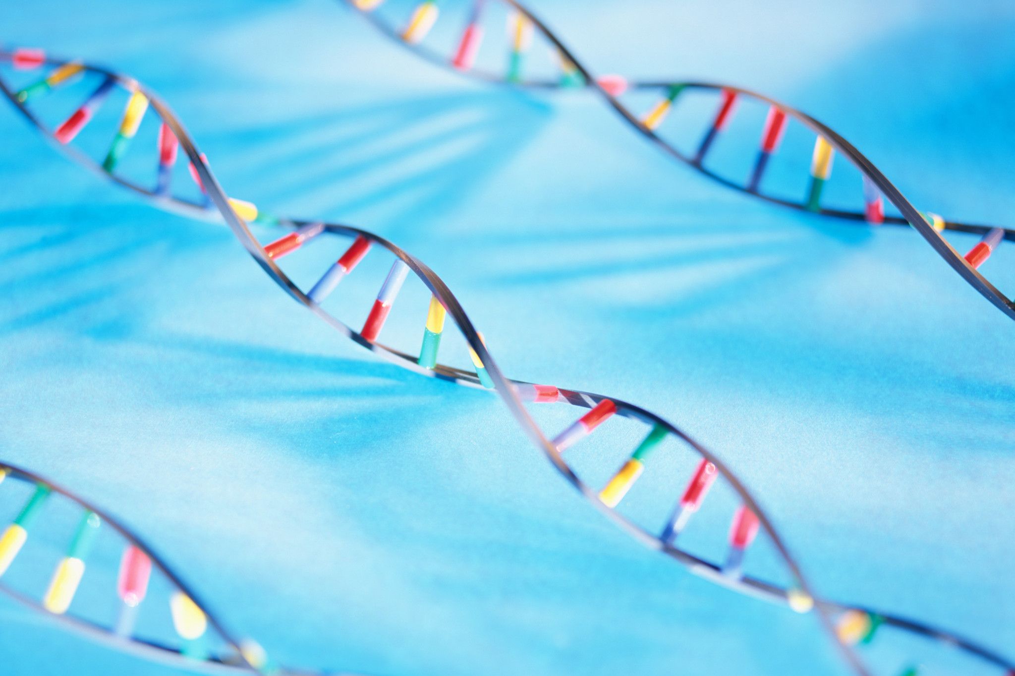 micro DNA