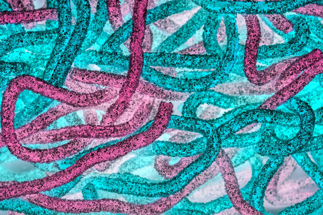 microbes viewed through a microscope