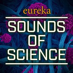 Link to a Sounds of Science podcast describing how CRIPSR technology is being applied to DMD, a brother helping a brother