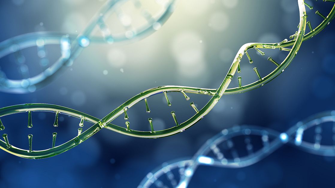 DNA strands