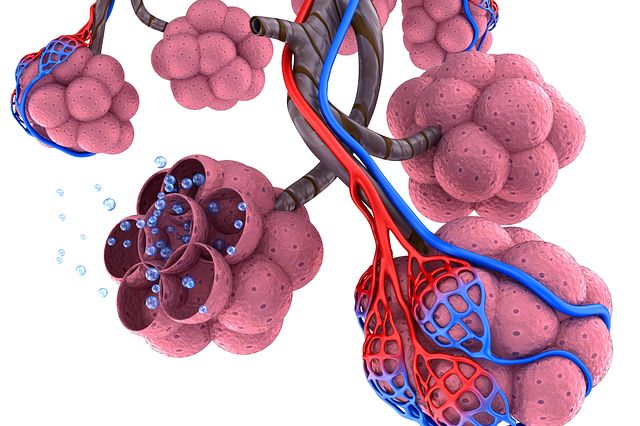 Charles River offers webinar titled “Physicochemical Profiling of Powders for Inhalation” to present how to determine physicochemical properties of powder test items can reduce aerosol generattion variability and lead to more consistence in doses administered.