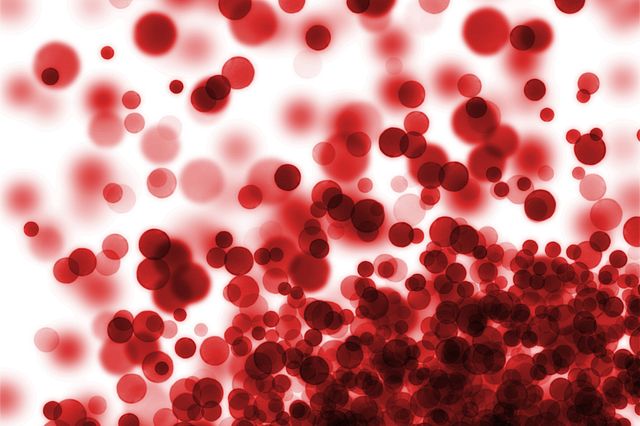 blood cells from an animal model