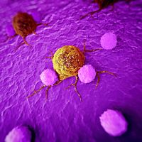 Cancer cell.