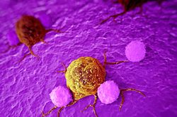 medically accurate 3d illustration of cancer cells.